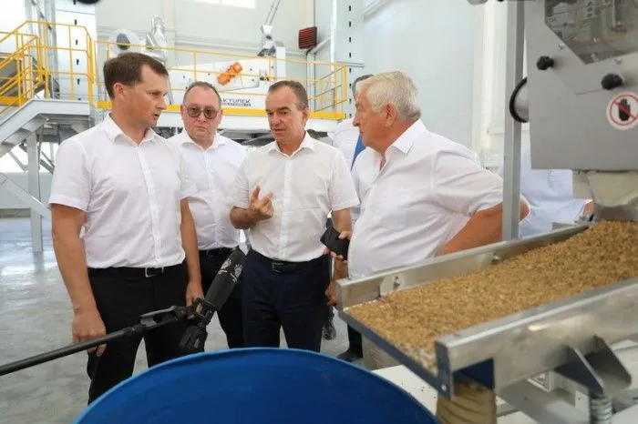 Как Кубань пытается решить проблему импортозависимости семян сахарной свеклы