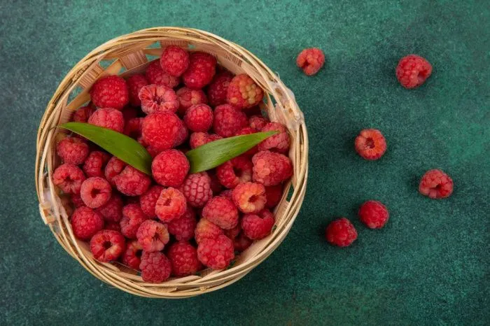 В Адыгее производителям ягод предоставят субсидии на 300 млн рублей