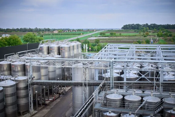 Olymp Winery в мае запустит в продажу линейку игристых вин 