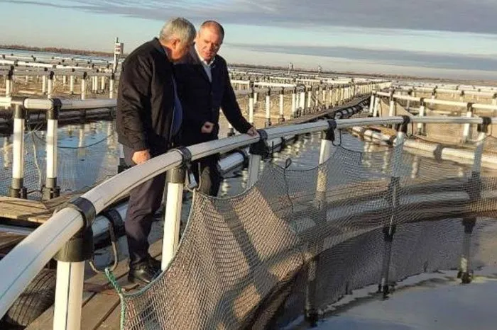 К 2027 году в Ростовской области планируют построить завод по переработке рыбы за 500 млн рублей