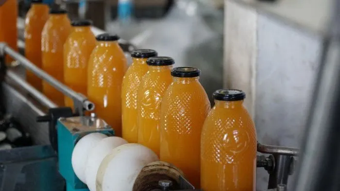 Производство соков и нектаров в Дагестане выросло на 19,2% в I квартале 2025 года