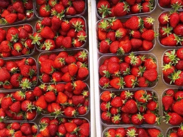 Импорт клубники на Кубань сократился на треть