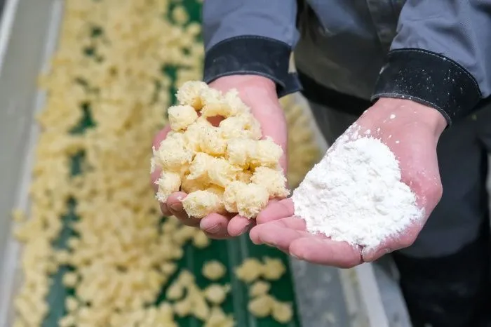 Долго, дорого и сложно: почему на Юге мало новых проектов по глубокой переработке зерна