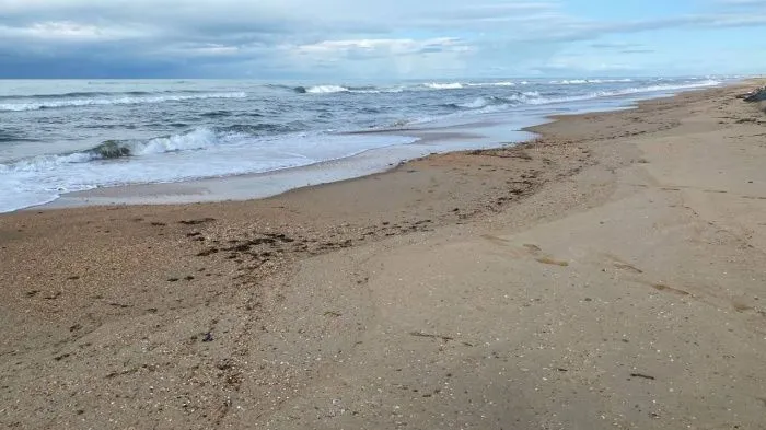 В Анапе зафиксировали новые выбросы мазута на двух участках побережья