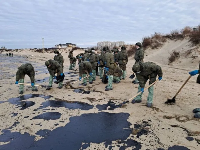 Год после катастрофы: хроника событий после разлива мазута в Черном море