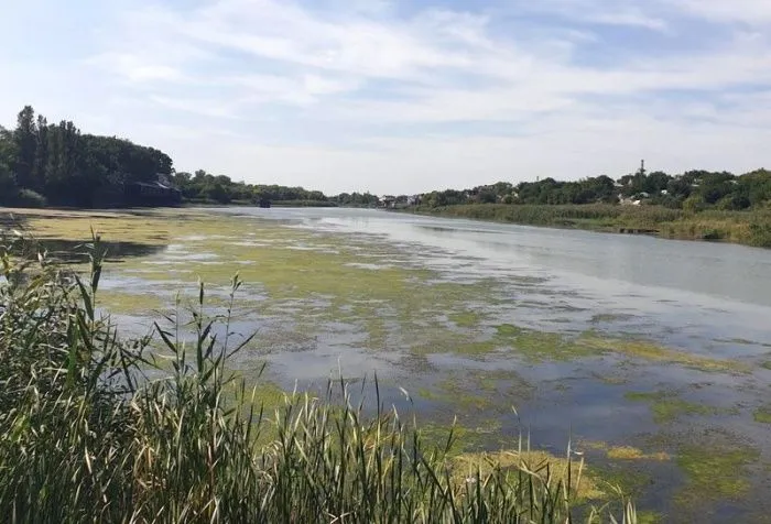 В Минприроды Ростовской области заявили об обмелении рек в регионе