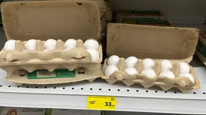 Куры расплачиваются за низкую рентабельность: почему птицефабрики уничтожают поголовье 