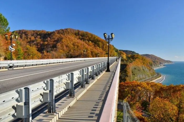 В Российском союзе туриндустрии заявили о росте продаж туров в Сочи в бархатный сезон на 35%