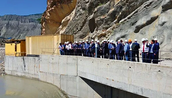 Баттерфляй на водной глади