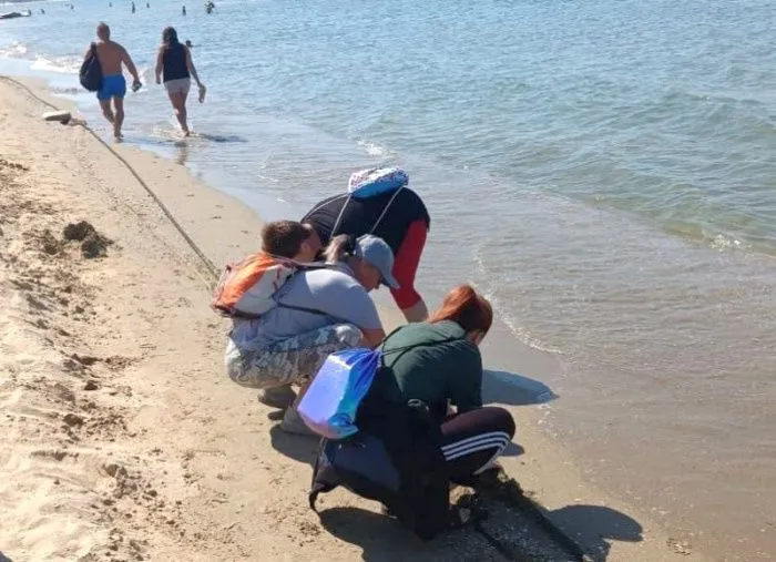 Очистку береговой линии в Анапе обещают завершить в течение двух недель