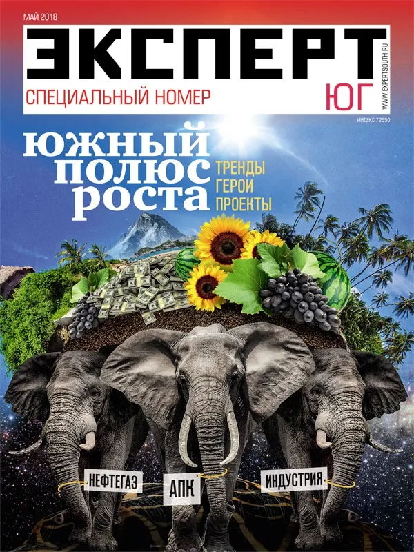 2018 Спецномер «Южный полюс роста»