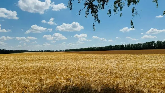 Агрохолдинг «СТЕПЬ»