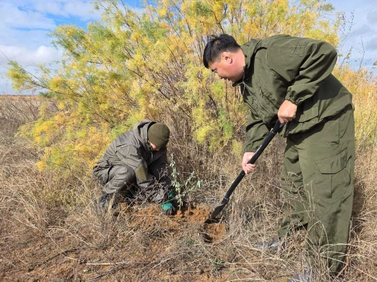 Миллиардный план защиты: как земли Юга будут спасать от опустынивания