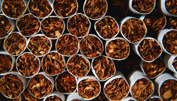 «Appolo союз» и Bond Street: кубанский разлив