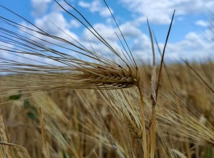 Ростовский стартап запустит федеральную сеть RTK-станций для АПК на Юге