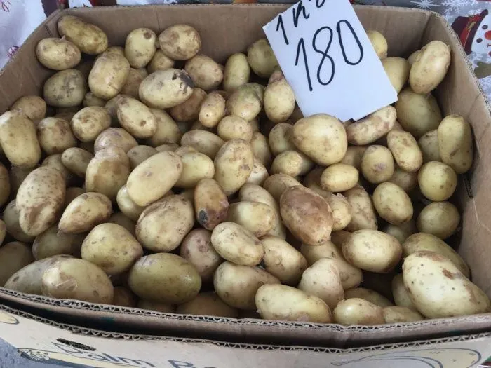 «Запасы иссякли»: почему в России случился картофельный кризис