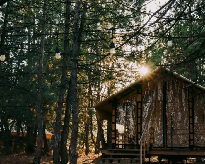 Три палатки — ещё не глэмпинг: что предлагает новый ГОСТ для глэмпингов и возможно ли приблизиться к его требованиям