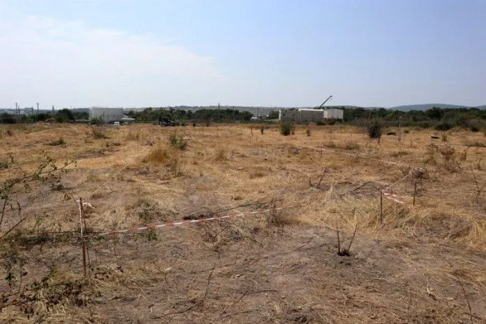 В Геленджике началось строительство первой очереди нового дендрологического парка