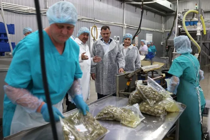 На Дону компания «Аграм-Юг» намерена увеличить на 40% производство маринованных огурцов для фастфуда