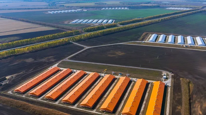 «Евродон», ООО