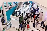 Итоги 2025 года: рынок российской косметики расширяет экспансию