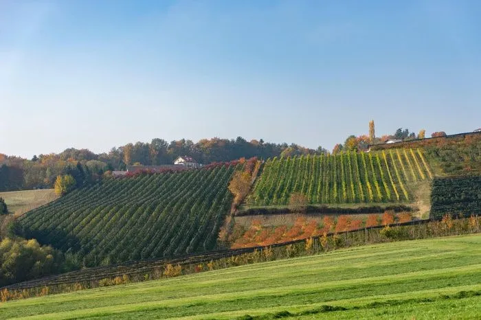 В Дагестане намерены заложить 500 га садов в 2025 году