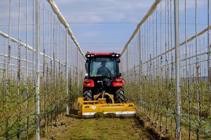 День механизации сада 2026: техника, которая действительно работает в саду