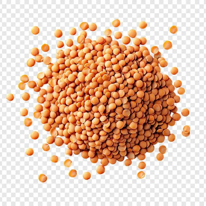 В СКФУ создали технологию стимуляции семян гороха частицами меди