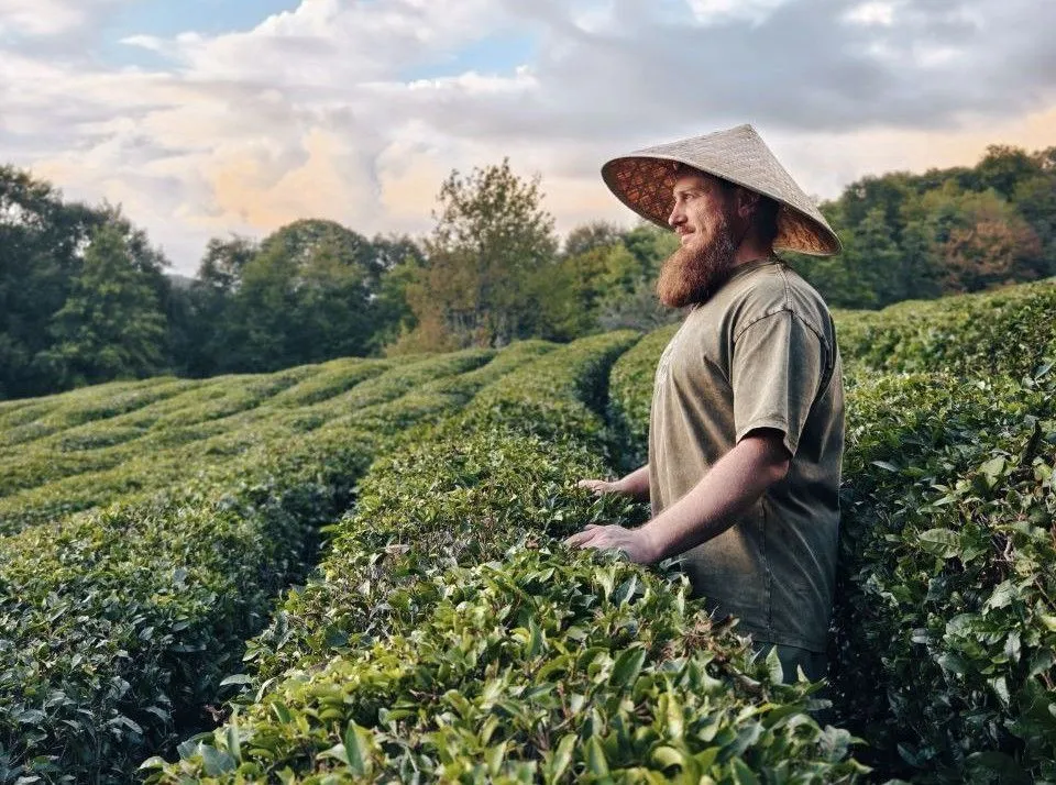 Егор Матчак, «Черноморский чай»: «Статус чаепригодных земель поможет спасти отрасль»