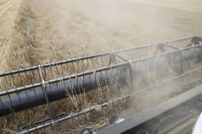 Почему Кубань и Дон опять не готовы к засухе?