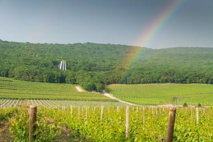 В Геленджике сменится владелец проекта винодельни и туркластера «Усадьба Марьина Роща»