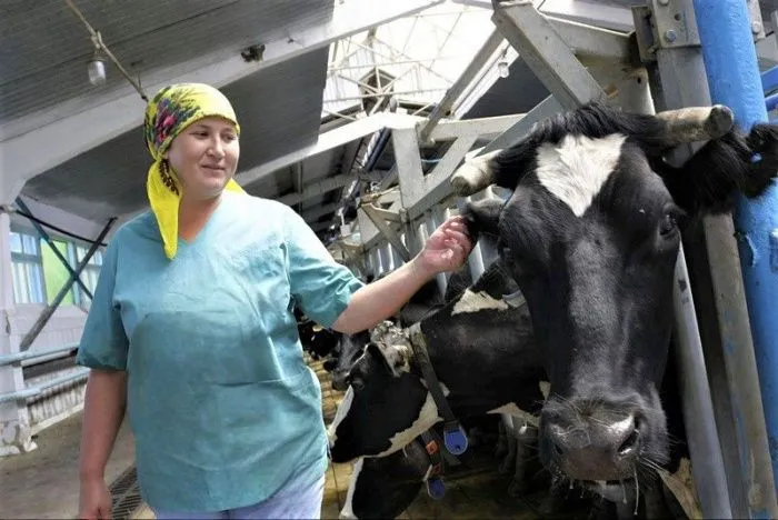 Кубанским фермерам за шесть лет выдали почти 450 млн рублей агростартапов