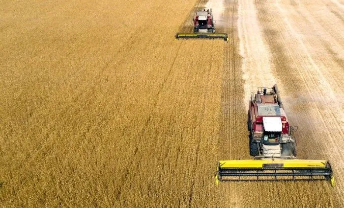 После уборки 80% площадей объем урожая в Волгоградской области уже превысил прошлогодние показатели