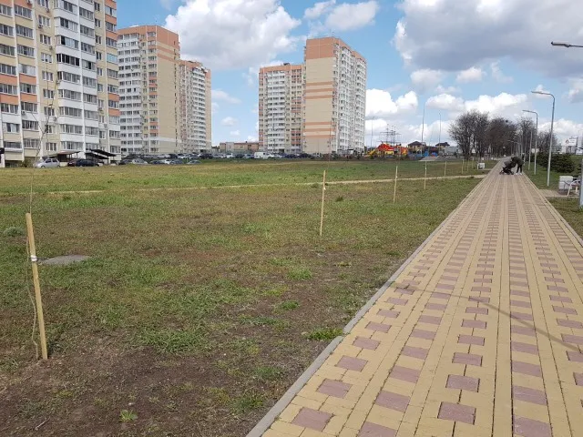 В Ростове-на-Дону озеленили Суворовский район