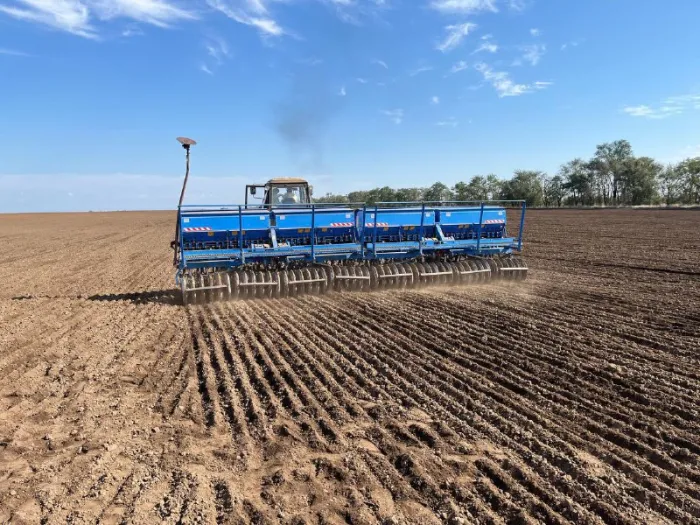 Ставрополье в 2,5 раза увеличило урожай нута