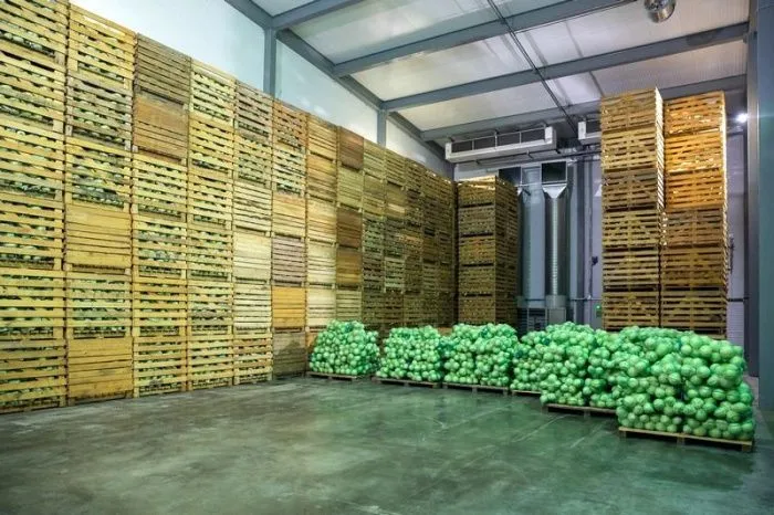 Аграрии Волгоградской области заявили о росте урожая томатов в регионе