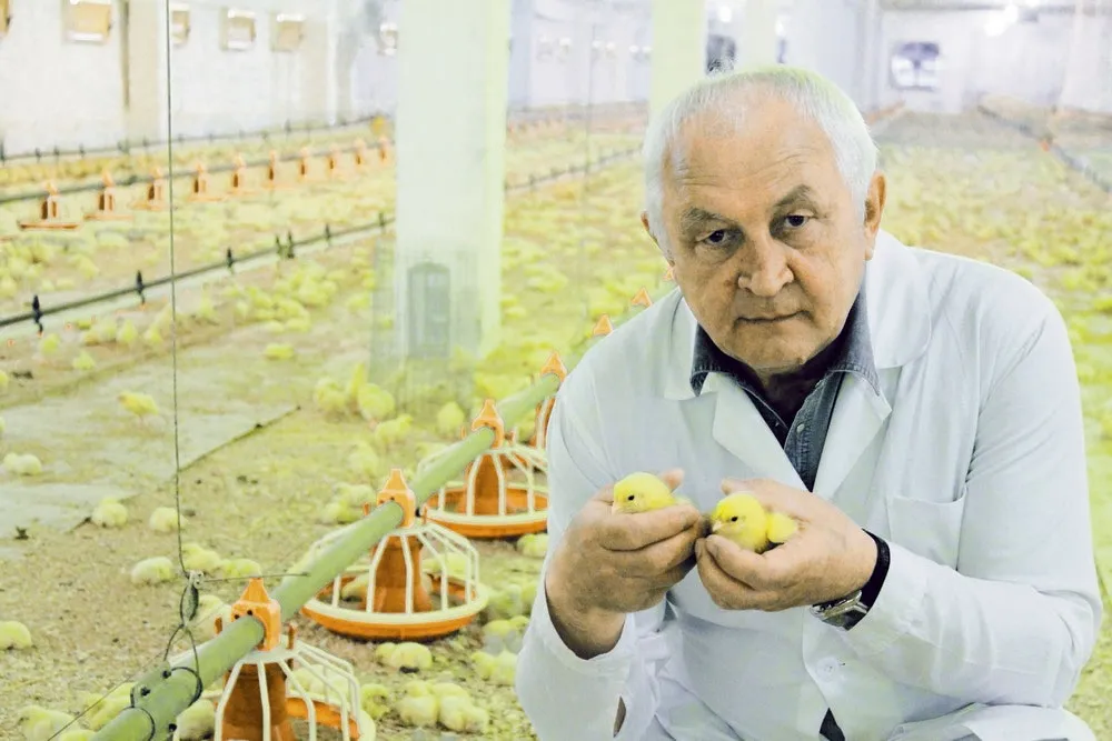 «Оптимальный вариант в птицеводстве — замкнутый цикл»