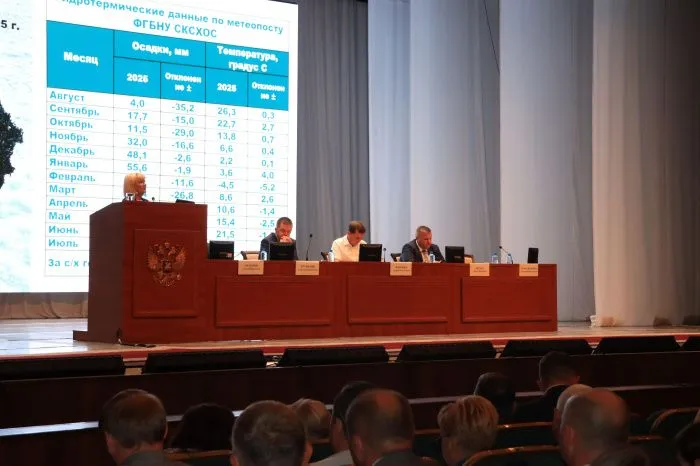 На Кубани ожидают продолжение засухи и экстремальные погодные условия в 2026 году