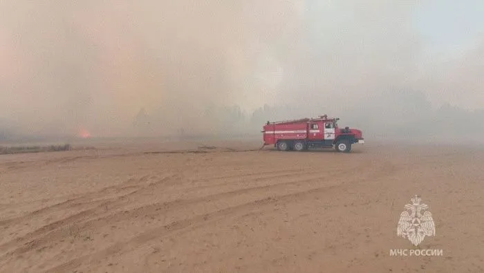 Пожар в Каменском районе полностью потушили 10 июля