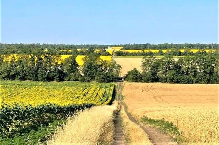 На Кубани запретят образовывать садовые участки на землях сельхозназначения