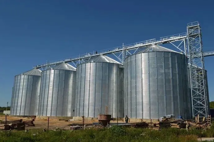 В Дагестане началось строительство рисообрабатывающего завода