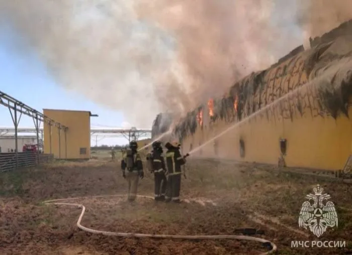 В Астраханской области горит птицефабрика «Владимирская»