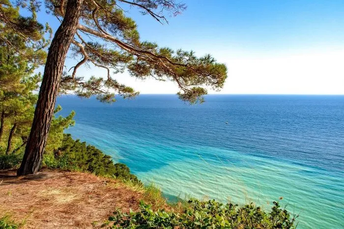 Краснодарский край достиг 829 млрд рублей инвестиций в туротрасли 