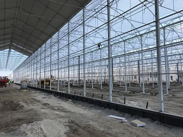 В теплицы Крыма вложат 4 млрд рублей