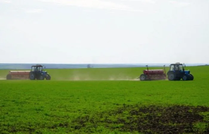 В Ростовской области введен режим ЧС из-за заморозков 