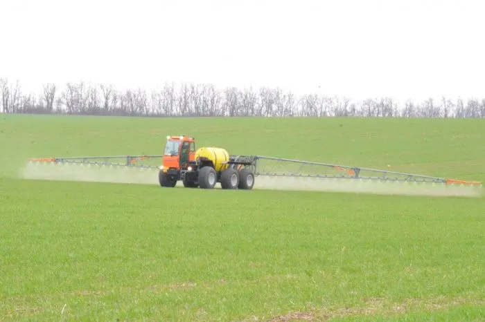 Донские аграрии получат субсидии на 155,7 млн рублей для покупки элитных семян