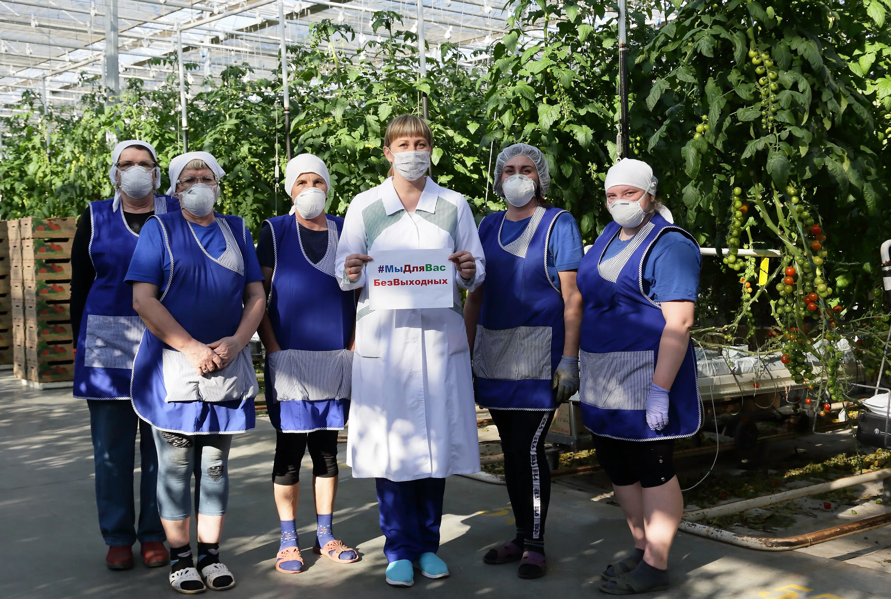 Антикризисный план на Дону вступил в силу