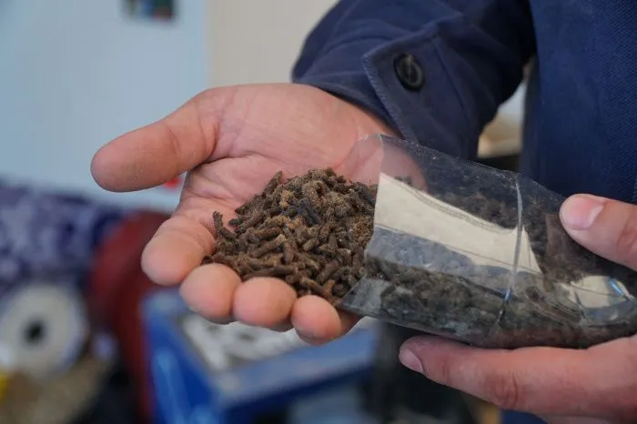 В Дагестане продемонстрировали технологию производства биоудобрений из овечьей шерсти