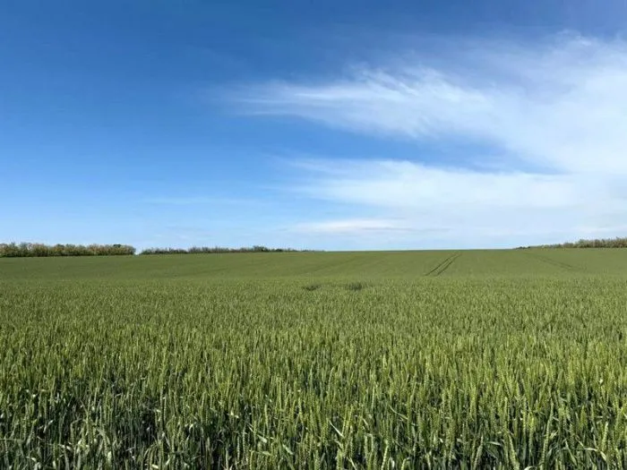 Более 370 объектов ГК «Покровский» стоимостью 1,6 млрд рублей переданы государству