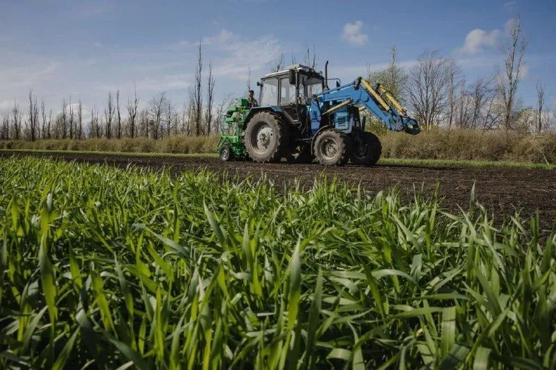 Фермеры Ставрополья обозначили точки роста в 2026 году